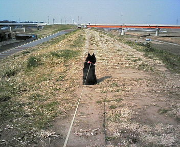 200603210944000.jpg
