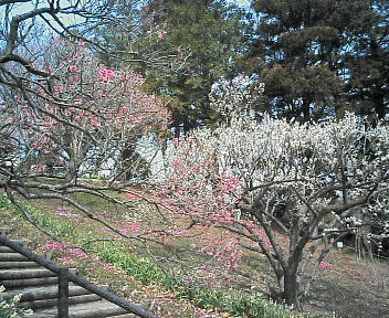 200603211022000.jpg