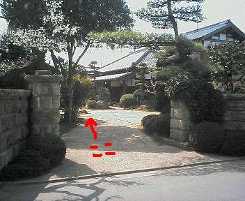 200603211200000.jpg