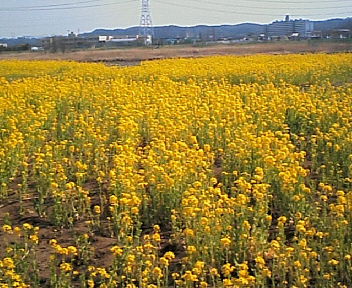 200603261356000.jpg