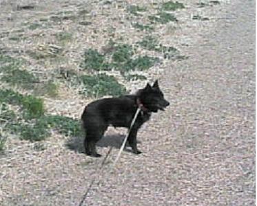 200603261356001.jpg