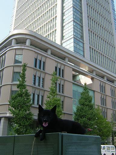 丸ビル..JPG